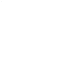 Adresse - Horaires - Téléphone - Solera - restaurant BASTIA